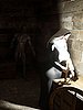 Dirty night guest - The nun by Blackadder