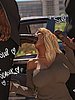 Two shameless, filthy, branded cockwhores, gagging for more - Black marked 3 by Tab109