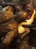 Massive cocks drills wet pussy - Monster eater 3 by Jared999D