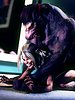 Huge werewolf fucks beautiful girl - Moonlight Incidental by Solone