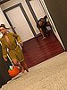 I need it so bad, fuck me - Dick or treats by Ahegao3DX